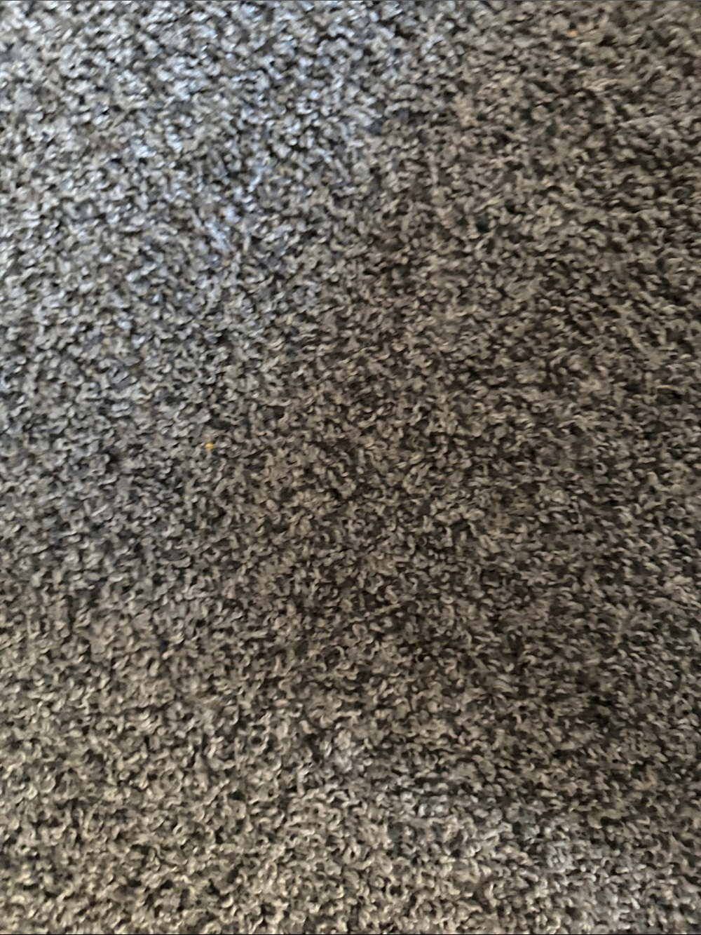 Carpet - Picture 3 of 3